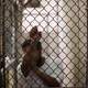 Illustration for article titled Pretty Much Every U.S. Demographic Group Believes Torture Is Justified